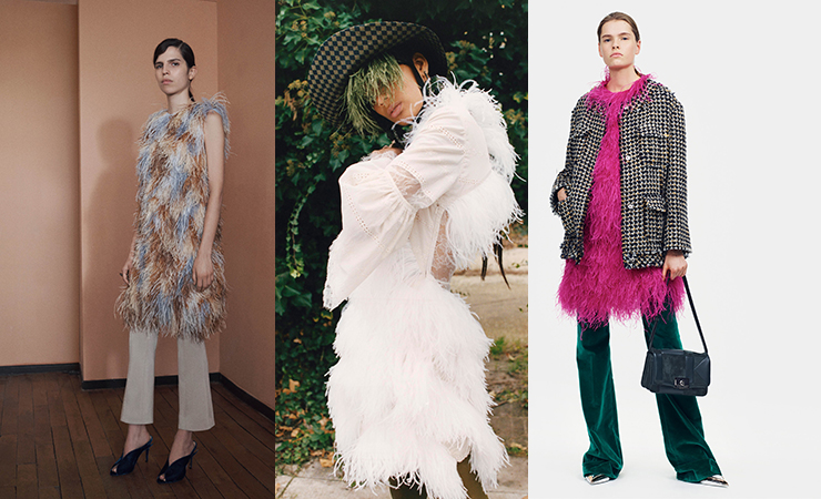 feather fever trend