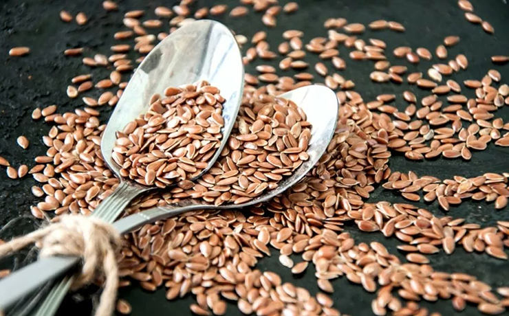 Flax Seeds benefits