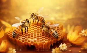 Польза мёда для красоты и здоровья