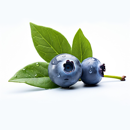 Açaí Berries
