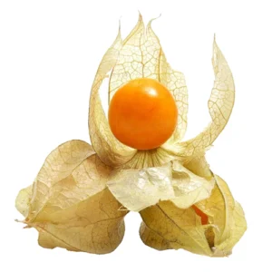 goldenberry