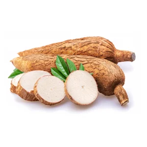 Cassava