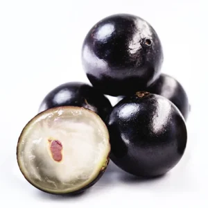 Jabuticaba