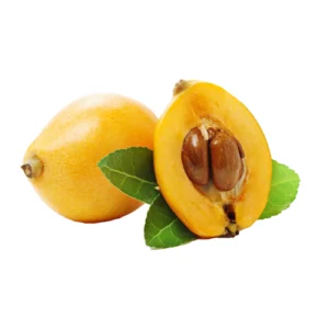 Loquat