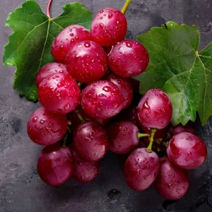 muscadine grape