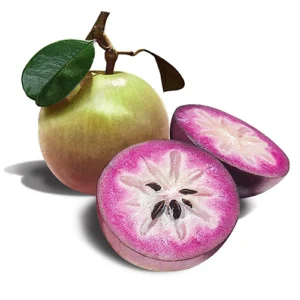 Star Apple