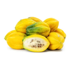 Mountain Papaya is