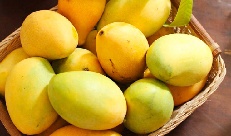 Hoa Loc mango