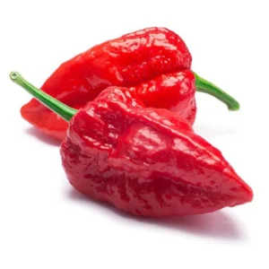 Ghost Pepper is