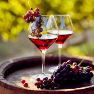 carmenere wines