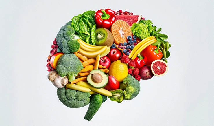 brain nutrition diet