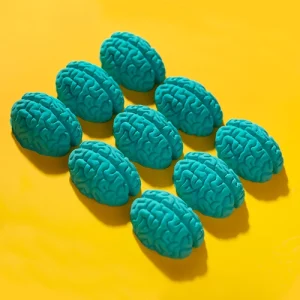 brain nutrition diet