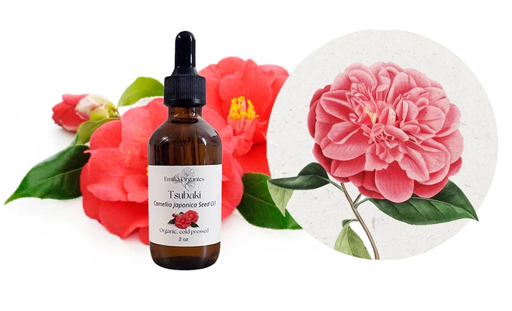 Japanese Skincare Lines