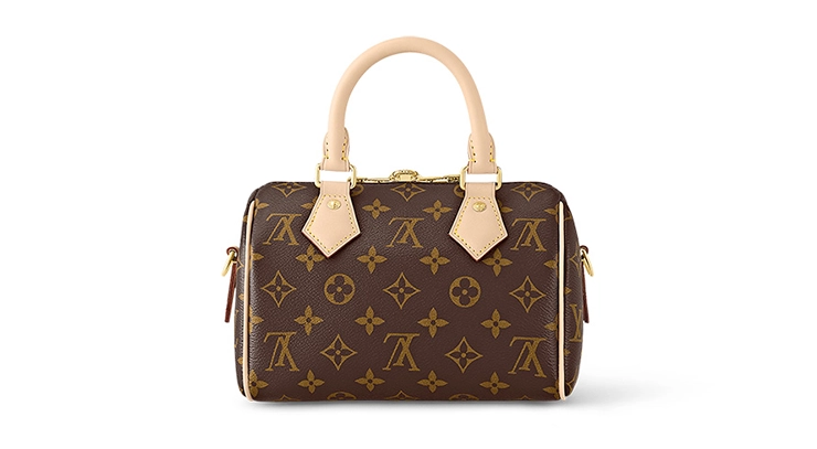 how pronounce louis vuitton